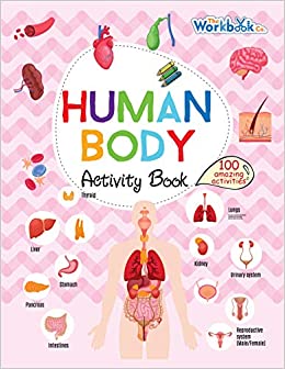 Human Body Activity Book